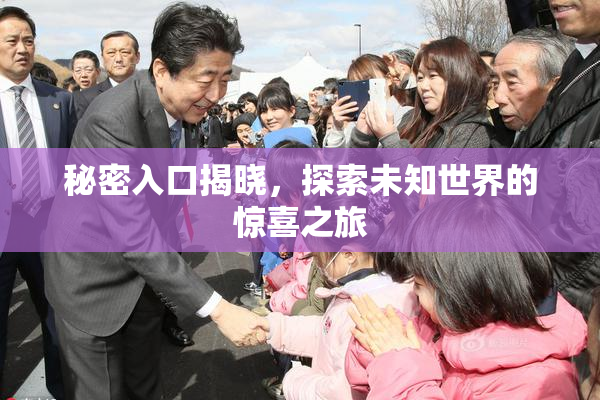 秘密入口揭晓，探索未知世界的惊喜之旅