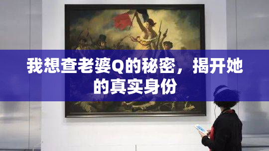 我想查老婆Q的秘密，揭开她的真实身份