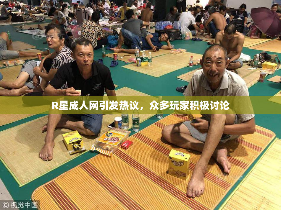 R星成人网引发热议，众多玩家积极讨论