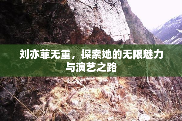 刘亦菲无重，探索她的无限魅力与演艺之路