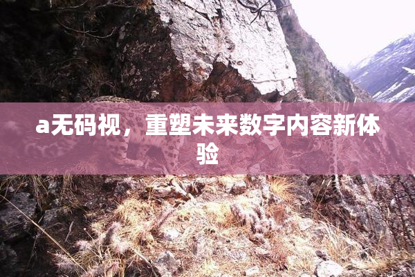 a无码视，重塑未来数字内容新体验