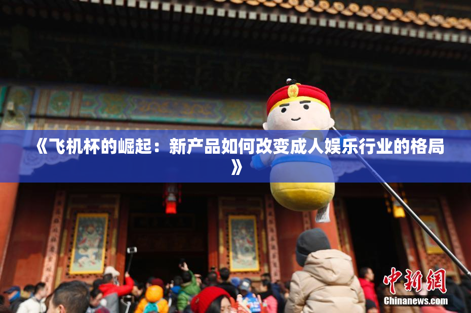《飞机杯的崛起：新产品如何改变成人娱乐行业的格局》