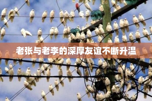 老张与老李的深厚友谊不断升温