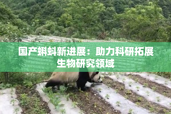 国产蝌蚪新进展：助力科研拓展生物研究领域