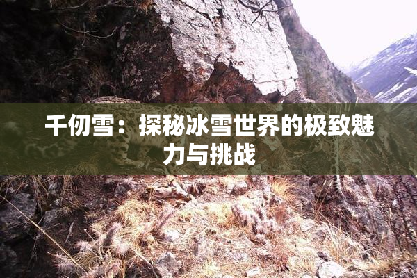 千仞雪：探秘冰雪世界的极致魅力与挑战