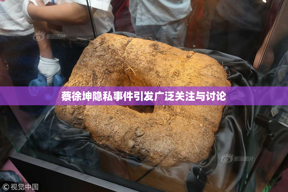 蔡徐坤隐私事件引发广泛关注与讨论