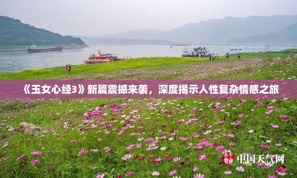 《玉女心经3》新篇震撼来袭，深度揭示人性复杂情感之旅