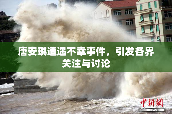 唐安琪遭遇不幸事件，引发各界关注与讨论