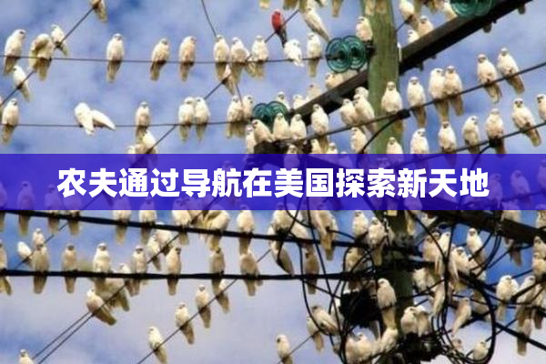 农夫通过导航在美国探索新天地