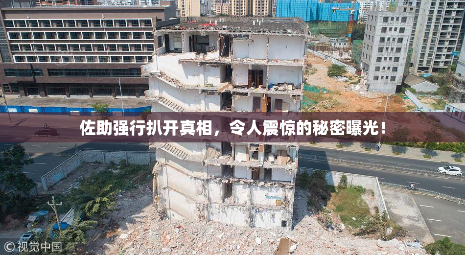 佐助强行扒开真相，令人震惊的秘密曝光！