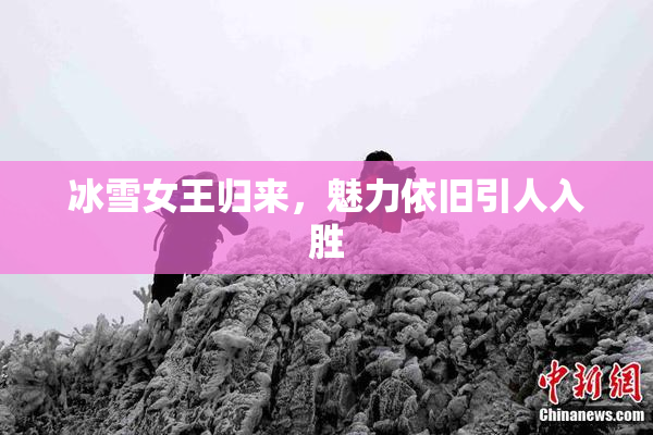 冰雪女王归来，魅力依旧引人入胜