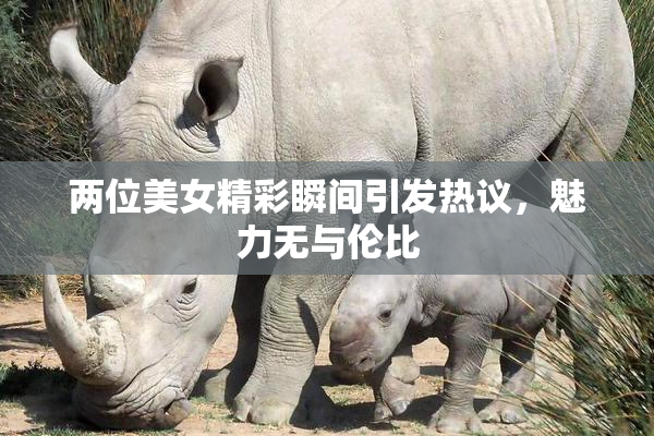 两位美女精彩瞬间引发热议，魅力无与伦比