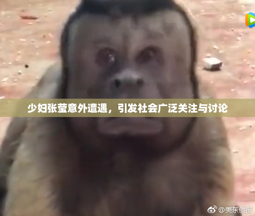 少妇张莹意外遭遇，引发社会广泛关注与讨论