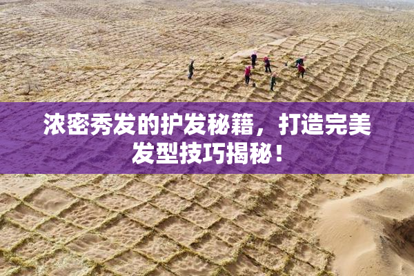 浓密秀发的护发秘籍，打造完美发型技巧揭秘！
