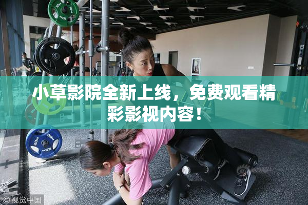 小草影院全新上线，免费观看精彩影视内容！