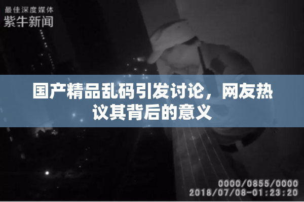 国产精品乱码引发讨论，网友热议其背后的意义