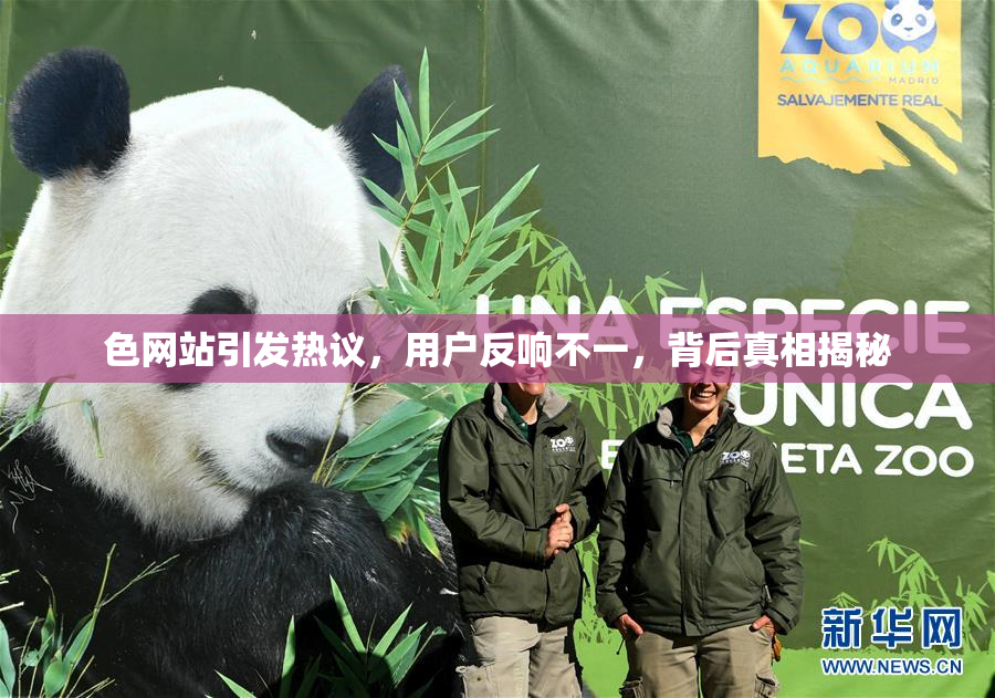 色网站引发热议，用户反响不一，背后真相揭秘