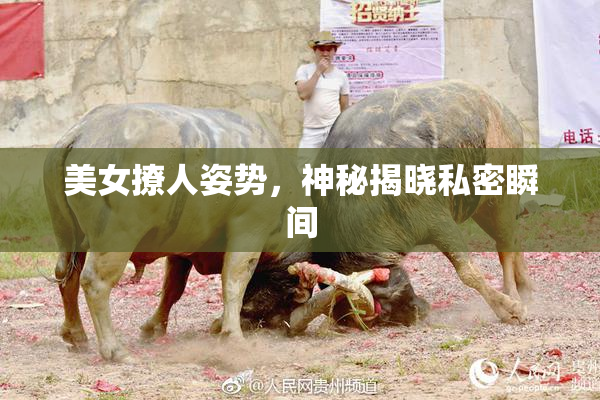 美女撩人姿势，神秘揭晓私密瞬间