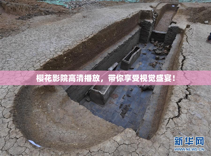 樱花影院高清播放，带你享受视觉盛宴！
