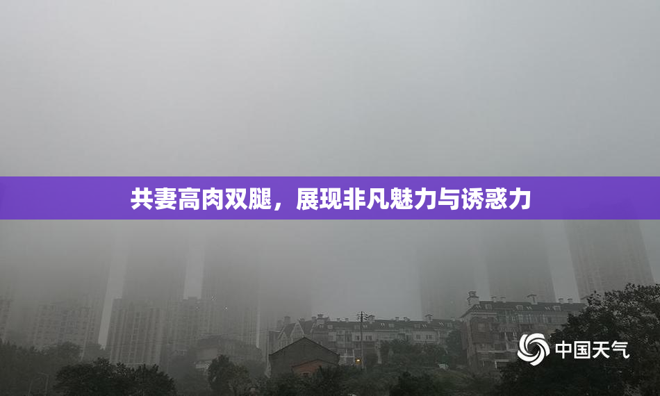 共妻高肉双腿，展现非凡魅力与诱惑力