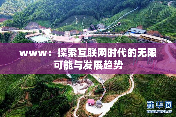www：探索互联网时代的无限可能与发展趋势