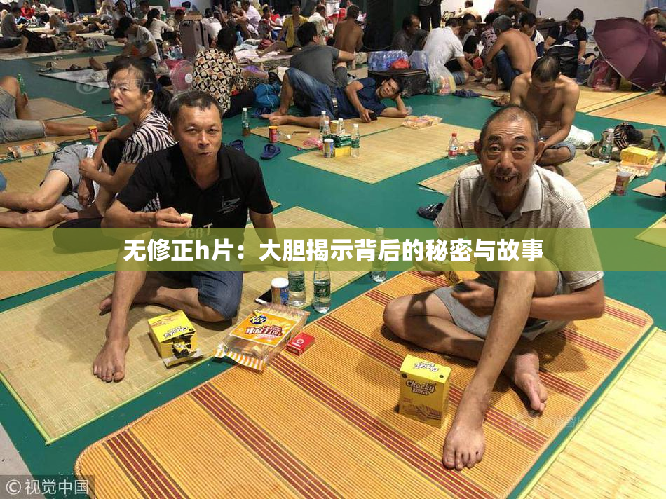 无修正h片：大胆揭示背后的秘密与故事
