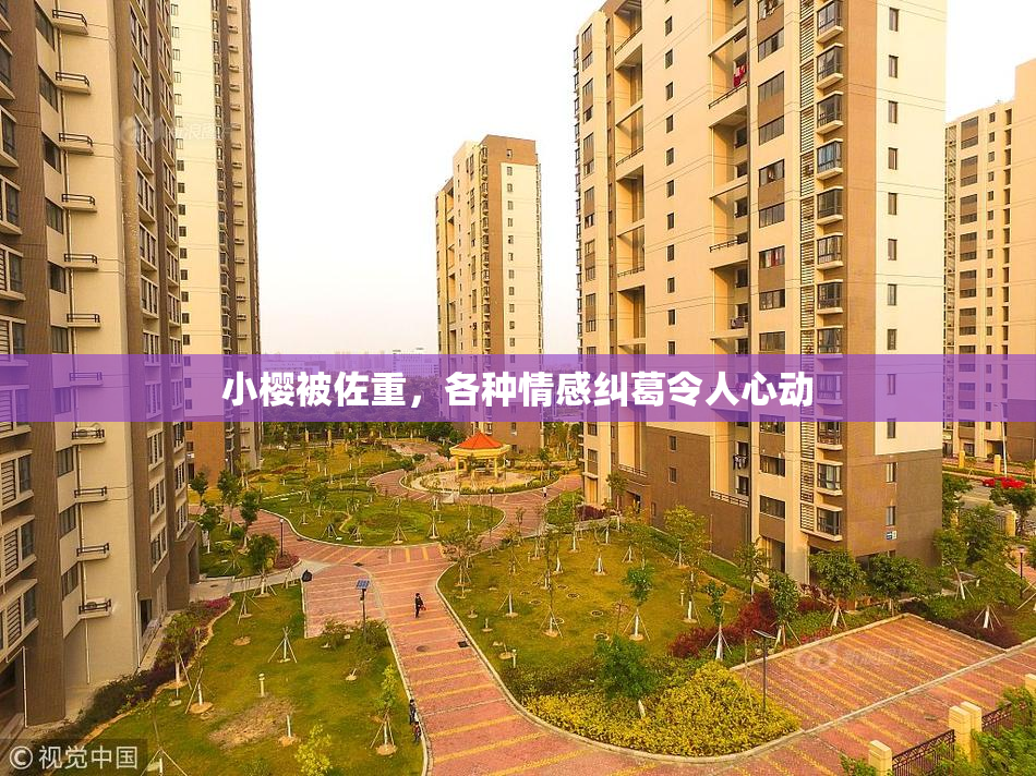 小樱被佐重，各种情感纠葛令人心动