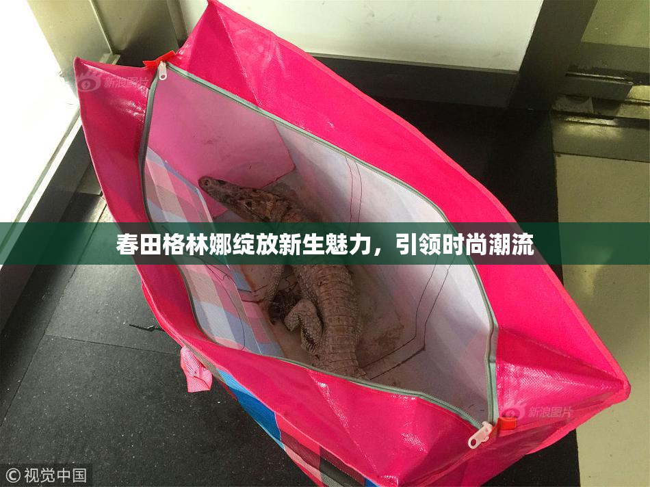 春田格林娜绽放新生魅力，引领时尚潮流