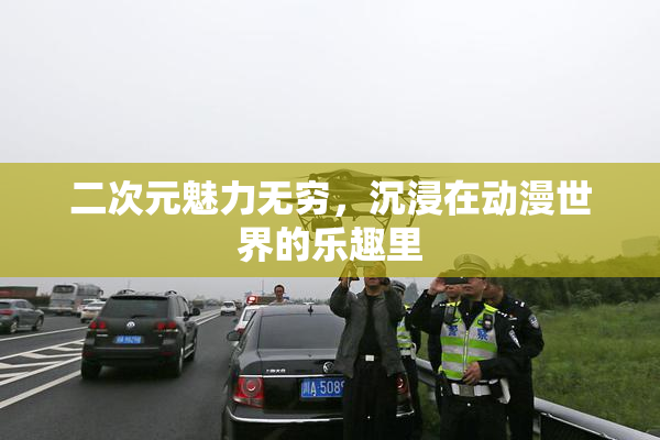 二次元魅力无穷，沉浸在动漫世界的乐趣里