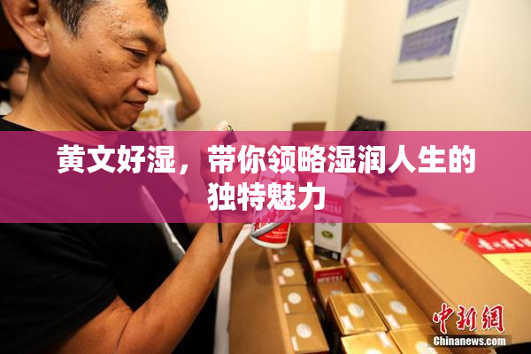 黄文好湿，带你领略湿润人生的独特魅力