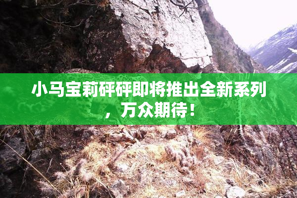 小马宝莉砰砰即将推出全新系列，万众期待！