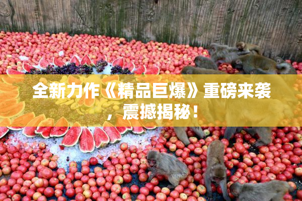 全新力作《精品巨爆》重磅来袭，震撼揭秘！