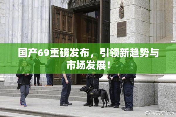 国产69重磅发布，引领新趋势与市场发展！