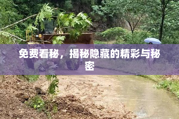 免费看秘，揭秘隐藏的精彩与秘密