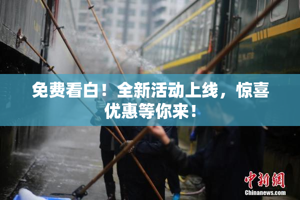 免费看白！全新活动上线，惊喜优惠等你来！