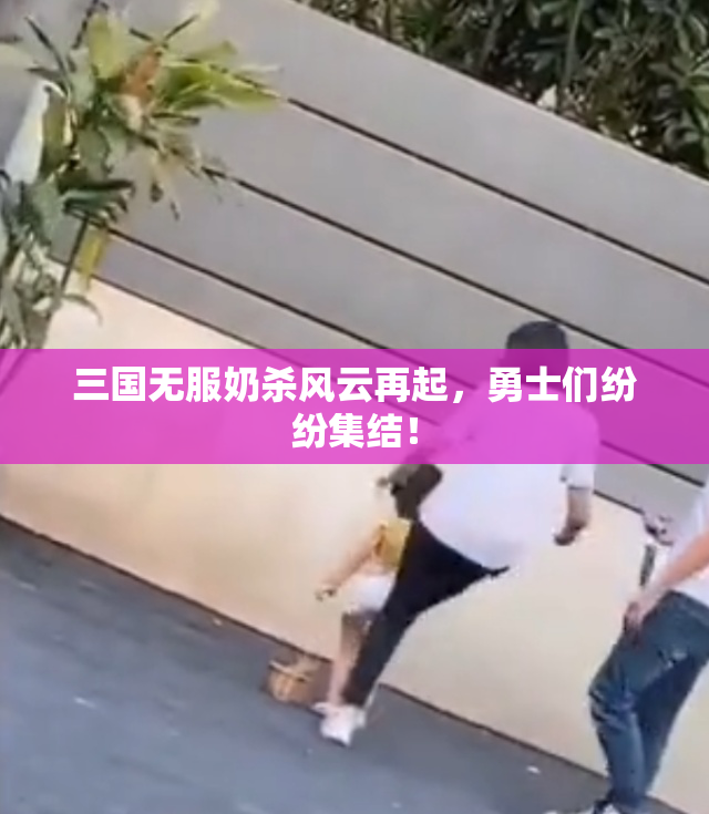 三国无服奶杀风云再起，勇士们纷纷集结！