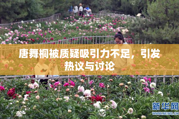 唐舞桐被质疑吸引力不足，引发热议与讨论