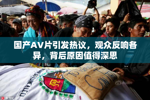国产AV片引发热议，观众反响各异，背后原因值得深思