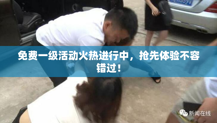 免费一级活动火热进行中，抢先体验不容错过！