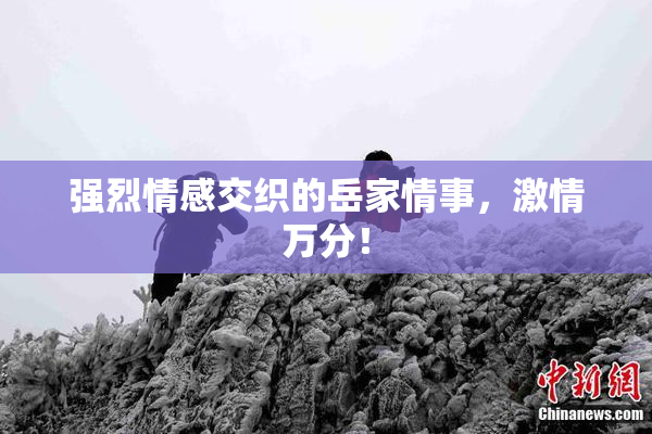 强烈情感交织的岳家情事，激情万分！
