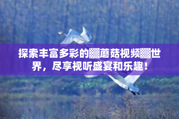 探索丰富多彩的▓蘑菇视频▓世界，尽享视听盛宴和乐趣！