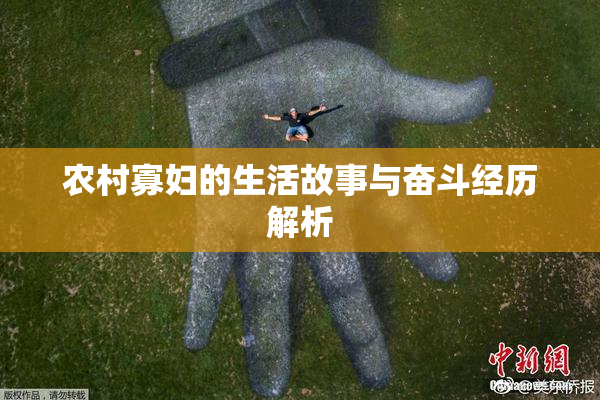 农村寡妇的生活故事与奋斗经历解析