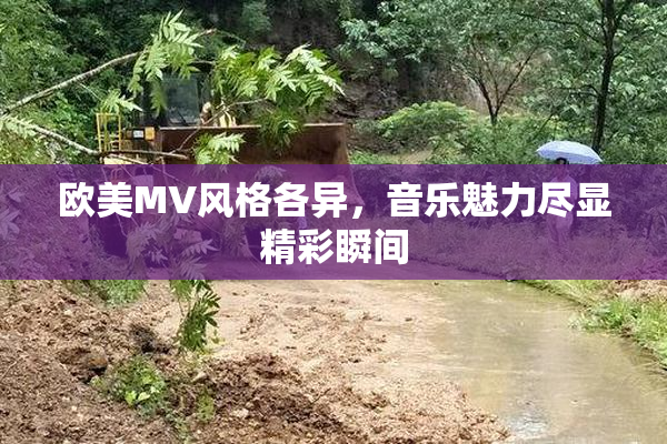 欧美MV风格各异，音乐魅力尽显精彩瞬间