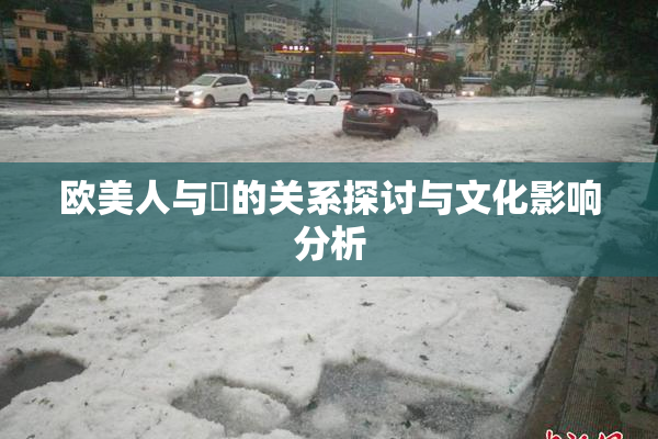 欧美人与嘼的关系探讨与文化影响分析