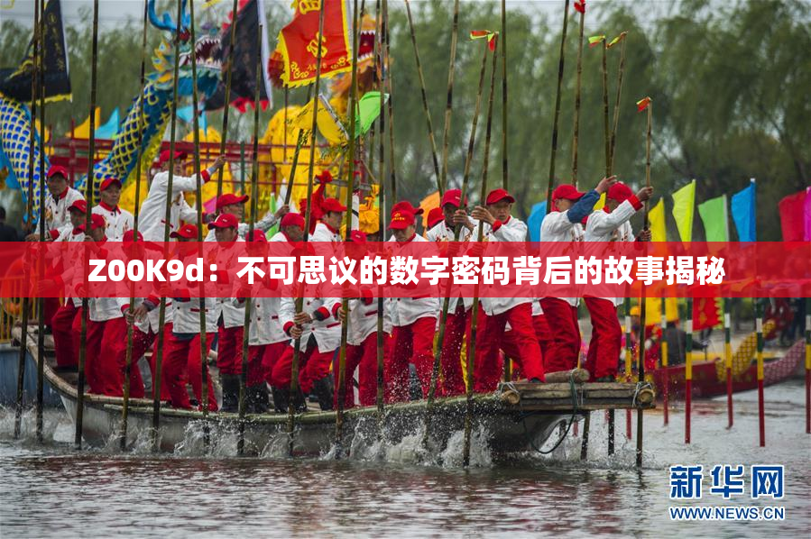 Z00K9d：不可思议的数字密码背后的故事揭秘