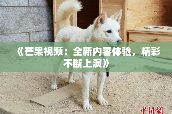 《芒果视频：全新内容体验，精彩不断上演》