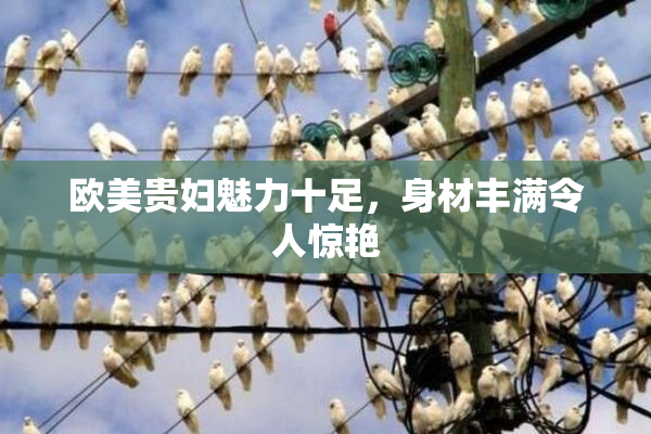 欧美贵妇魅力十足，身材丰满令人惊艳
