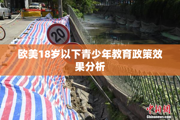 欧美18岁以下青少年教育政策效果分析