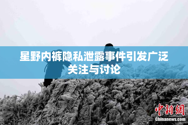 星野内裤隐私泄露事件引发广泛关注与讨论