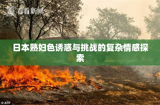 日本熟妇色诱惑与挑战的复杂情感探索